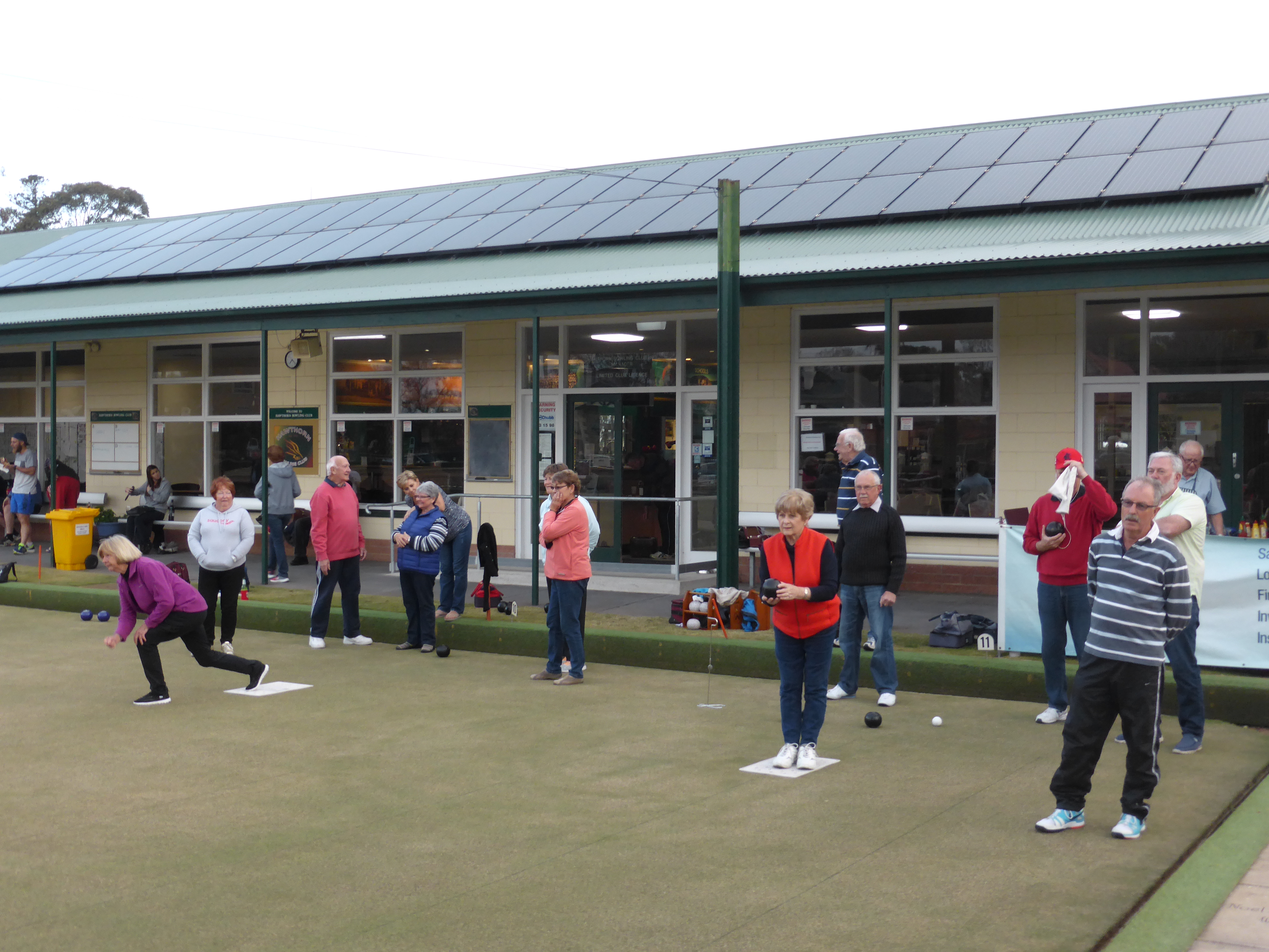 social bowls